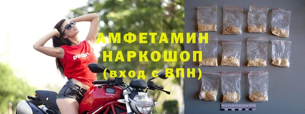 МДПВ Нея