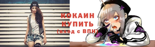 МДПВ Нея