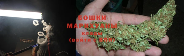 PSILOCYBIN Нефтегорск