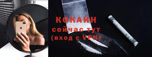 МДПВ Нея