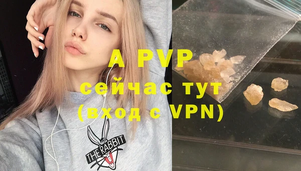 МДПВ Нея