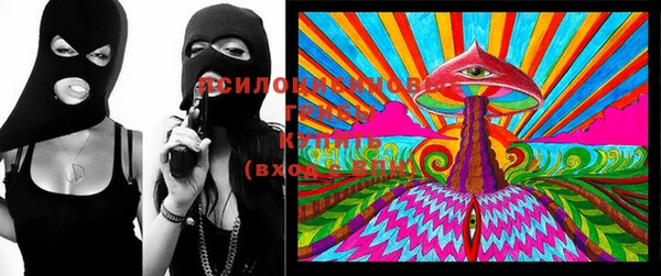 МДПВ Нея