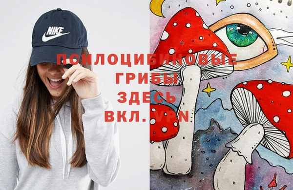 PSILOCYBIN Нефтегорск