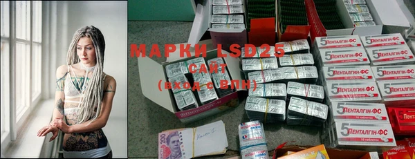 PSILOCYBIN Нефтегорск