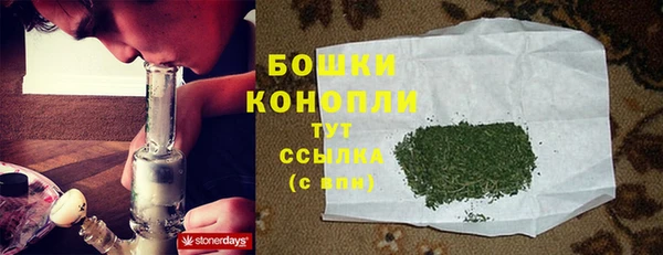 PSILOCYBIN Нефтегорск