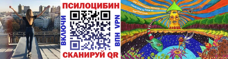 Галлюциногенные грибы Cubensis  купить   Нефтегорск 